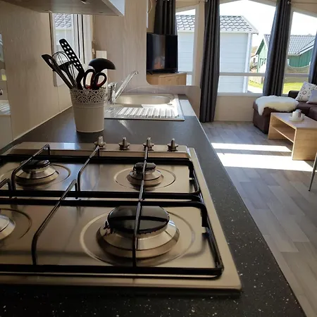 Schwarzkopfmoewe Am Kransburger 549 Kransburg