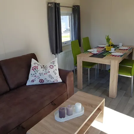 Schwarzkopfmoewe Am Kransburger 549 Wurster Nordseeküste