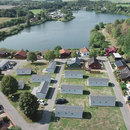 Schwarzkopfmoewe Am Kransburger 549