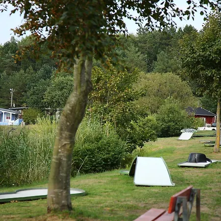 Schwarzkopfmoewe Am Kransburger 549 Holiday home