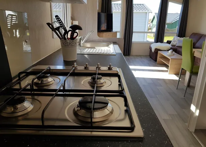 Schwarzkopfmoewe Am Kransburger 549 Wurster Nordseekuste