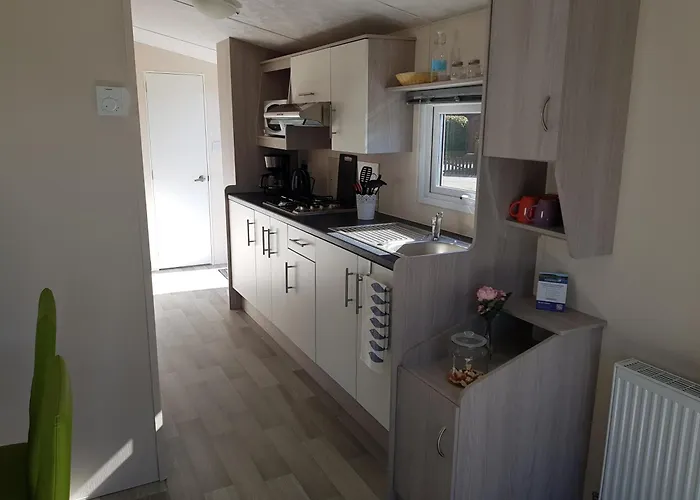 Schwarzkopfmoewe Am Kransburger 549