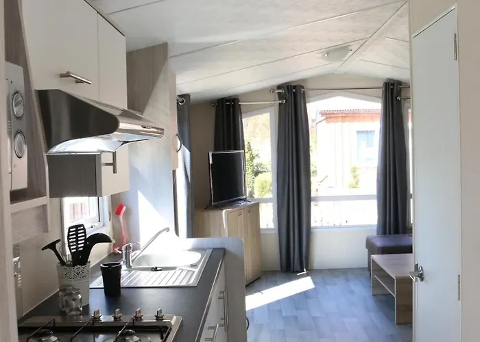 Schwarzkopfmoewe Am Kransburger 549 Nyaraló Wurster Nordseeküste