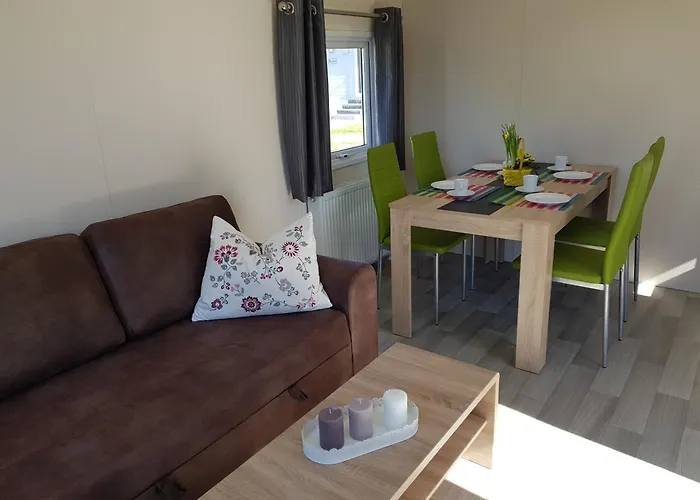 Schwarzkopfmoewe Am Kransburger 549 Wurster Nordseeküste