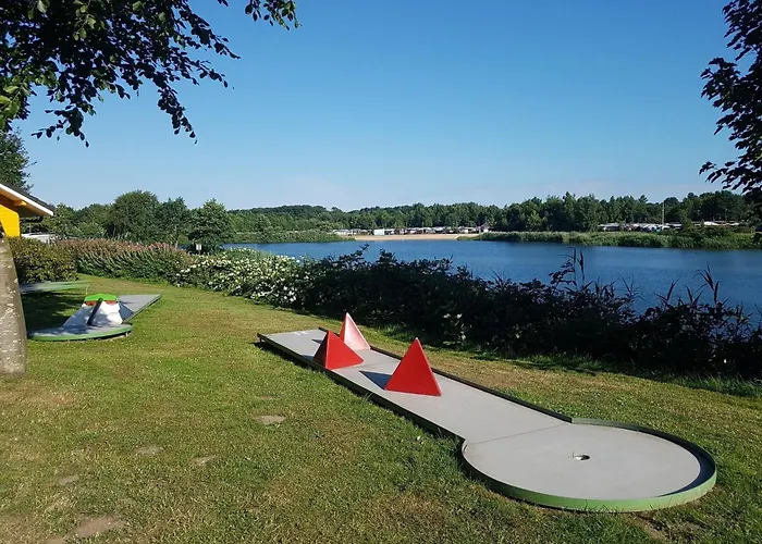 Schwarzkopfmoewe Am Kransburger 549 *