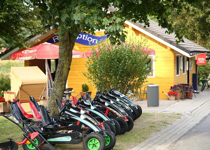 Schwarzkopfmoewe Am Kransburger 549 * Wurster Nordseeküste