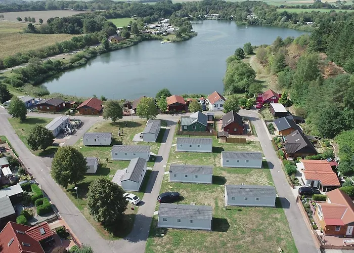 Schwarzkopfmoewe Am Kransburger 549